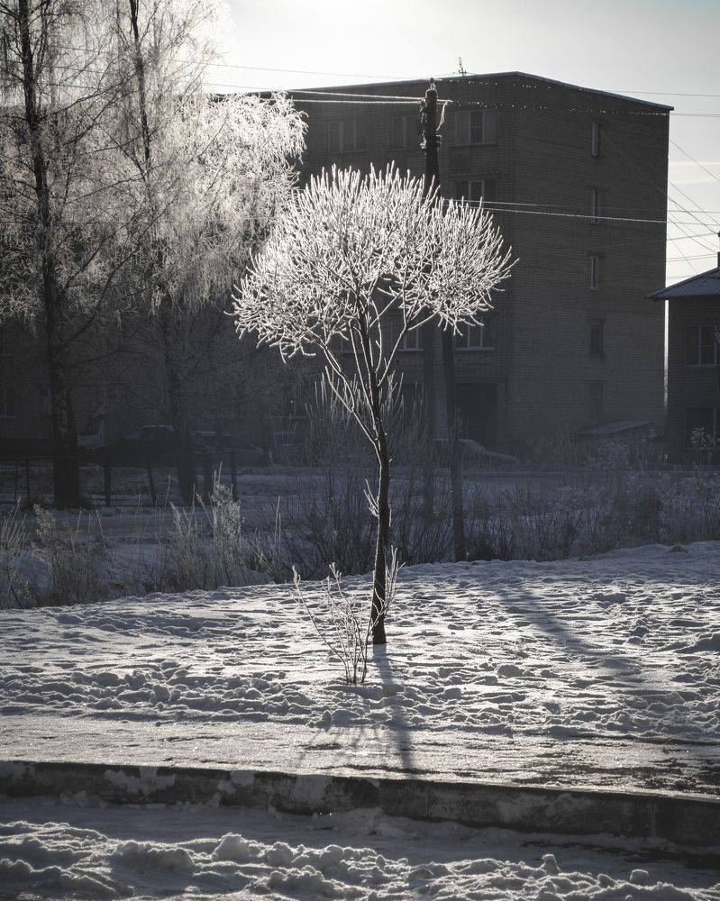 Photograph by Юлия Лупанова