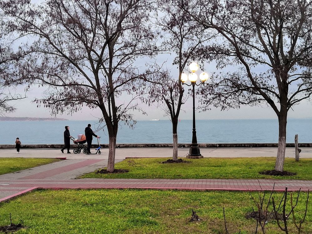 Photograph by Светлана Борозенцева