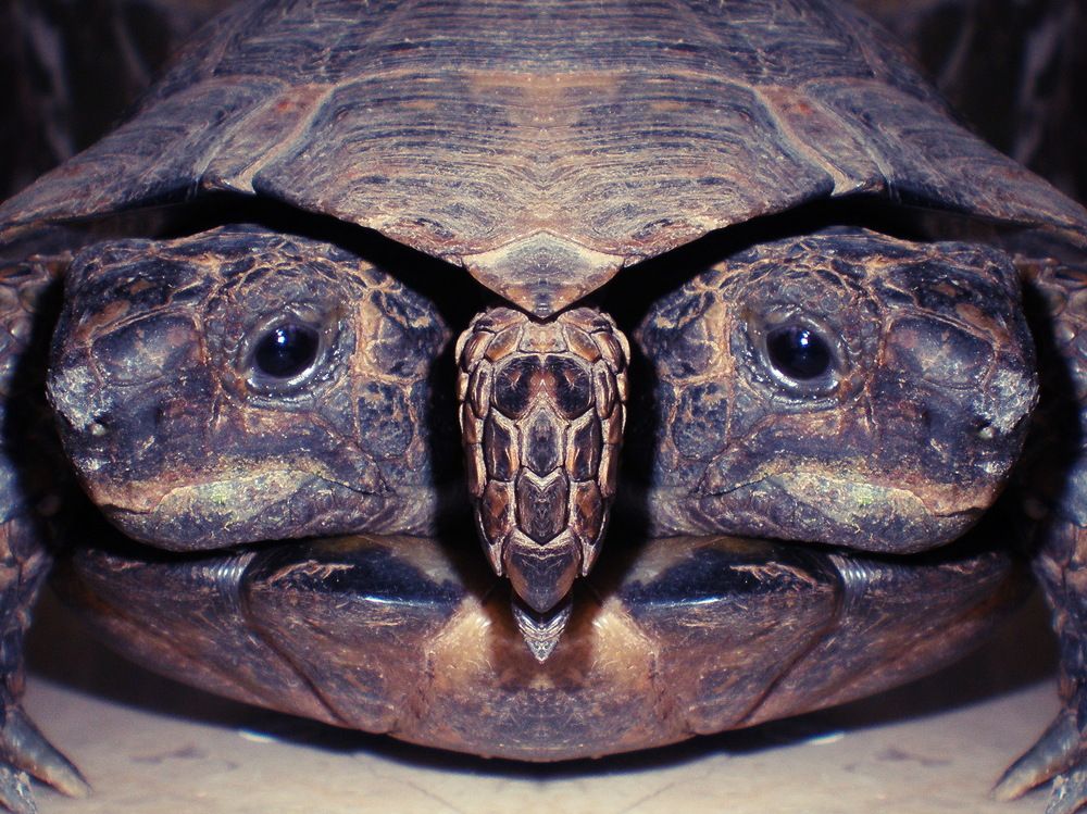 Photograph by Oksana Tkachenko