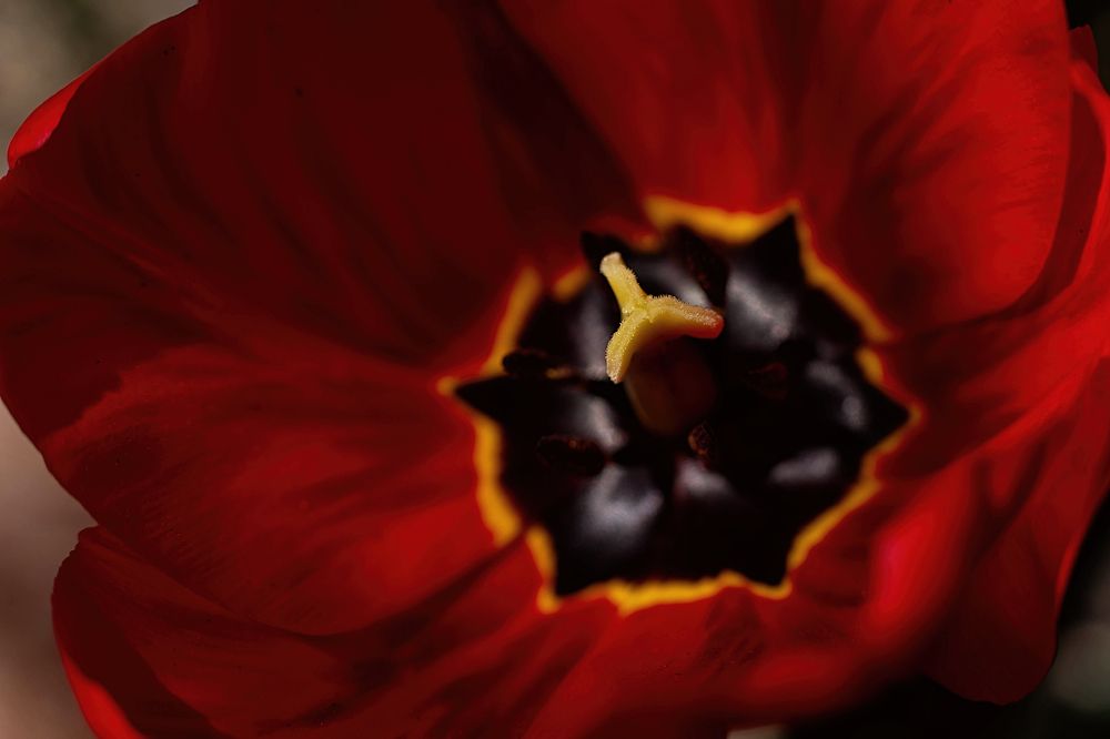 Photograph by Marina Charkina