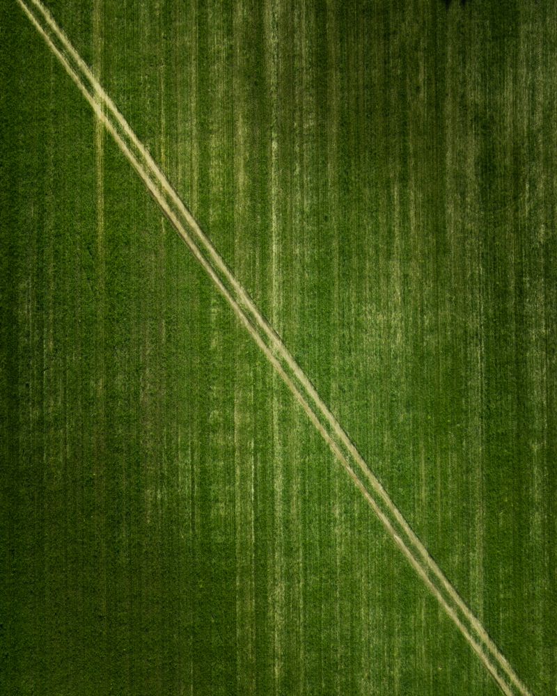 Photograph by Андрей Новичков