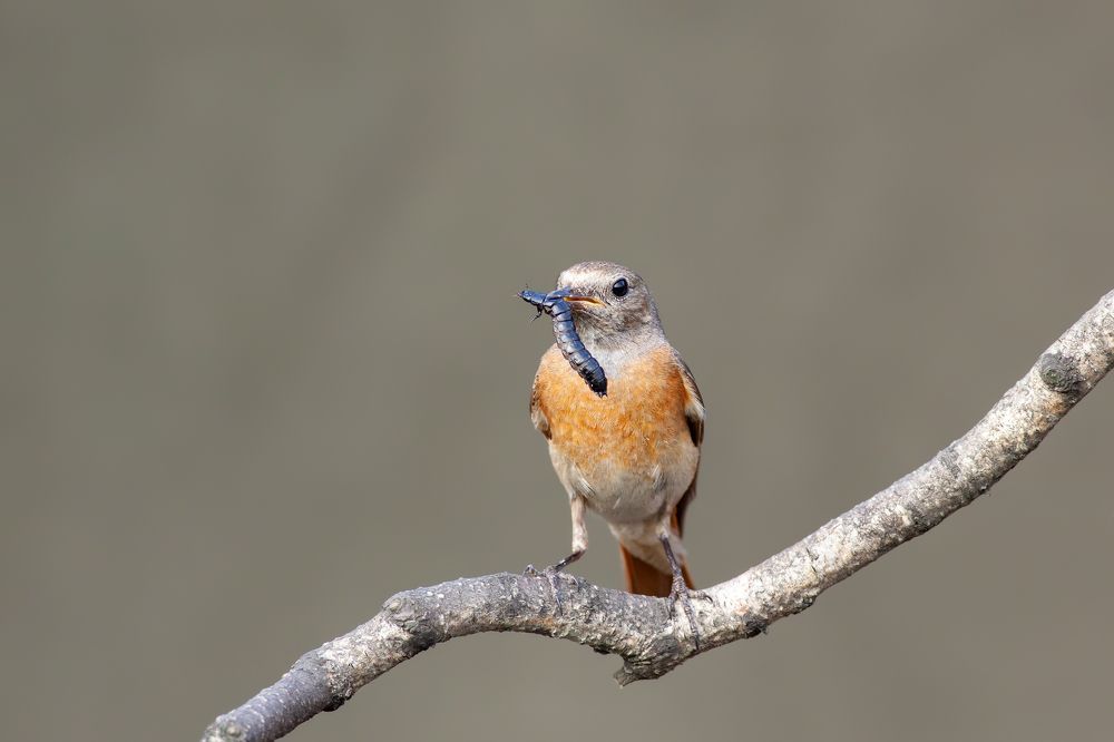 Фотография автора Евгений Гурьевских
