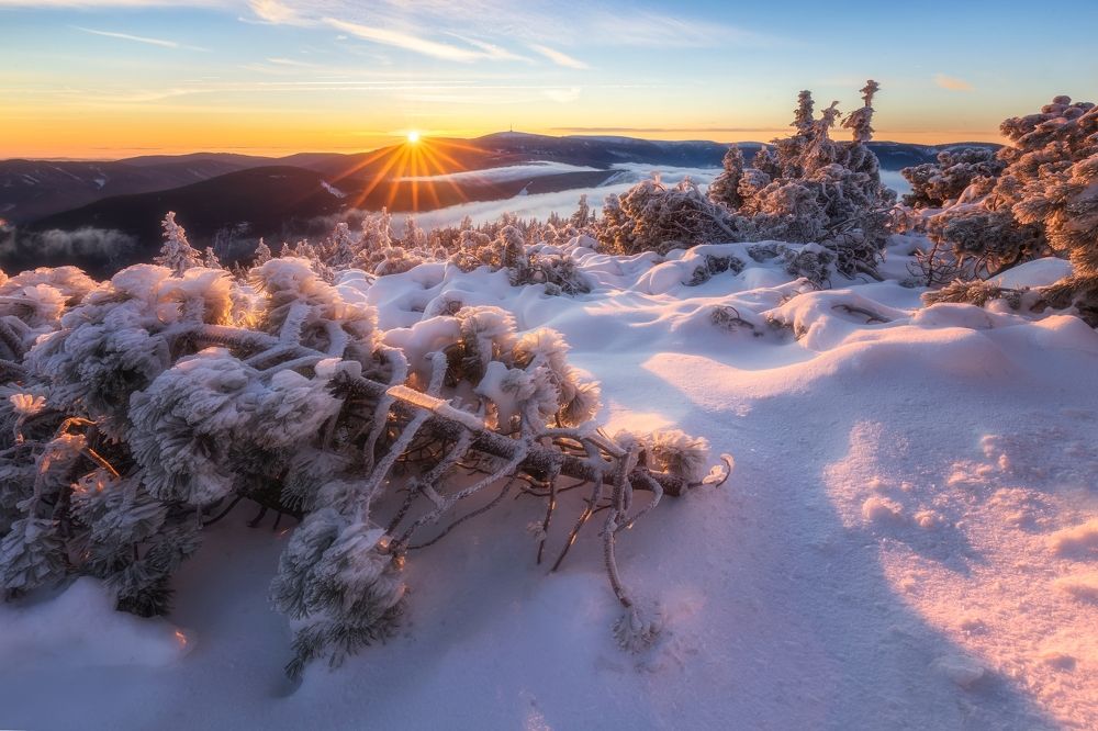 Photograph by Petr Fiala