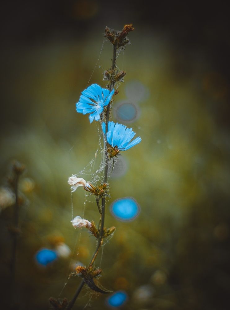 Фотография автора Евгений Вагуро