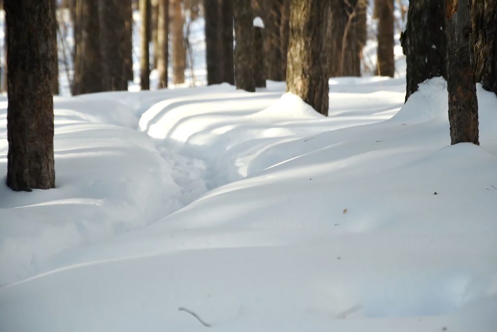 Photograph by НИНА АВЕРЬЯНОВА