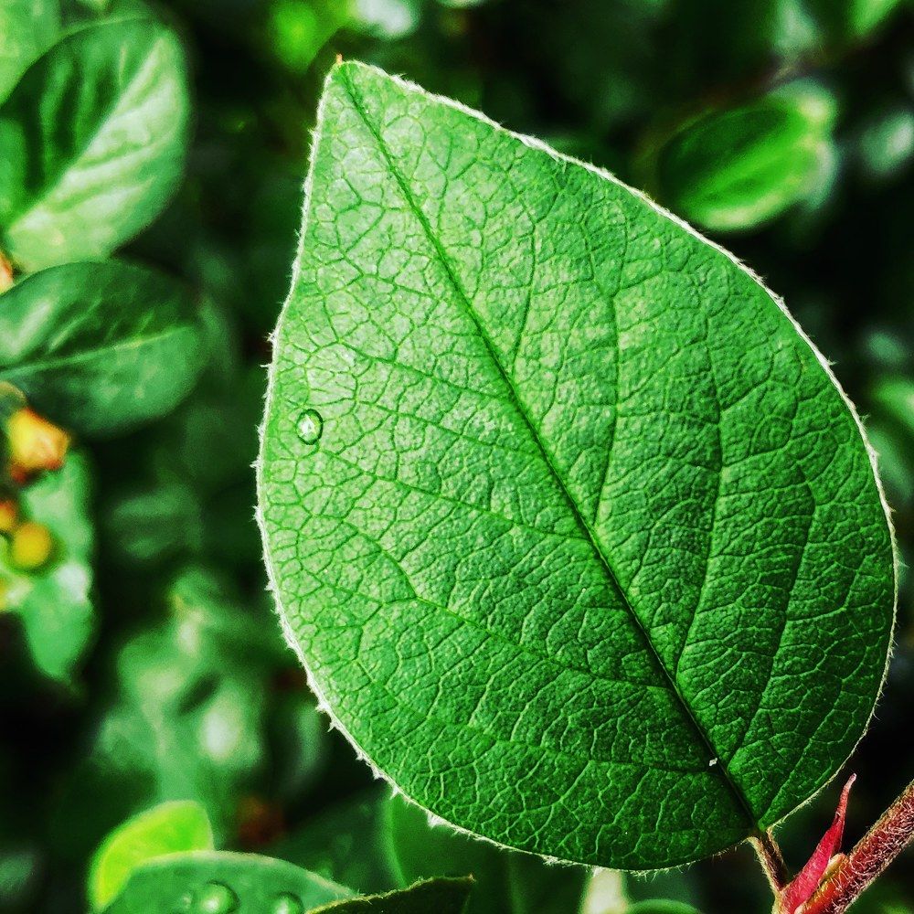 Фотография автора Мария Капатурина