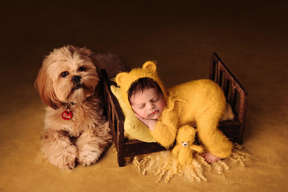 Toffee and his little brother