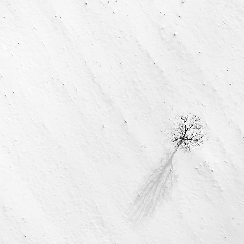 Photograph by Александр Абросимов