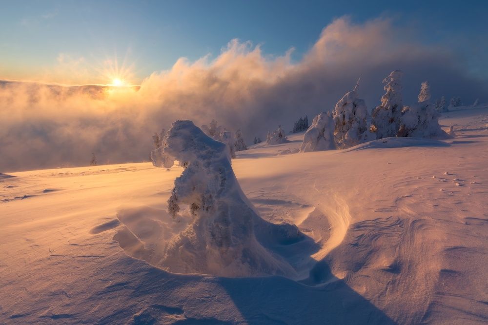 Photograph by Petr Fiala