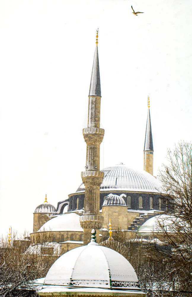 snowy mosque