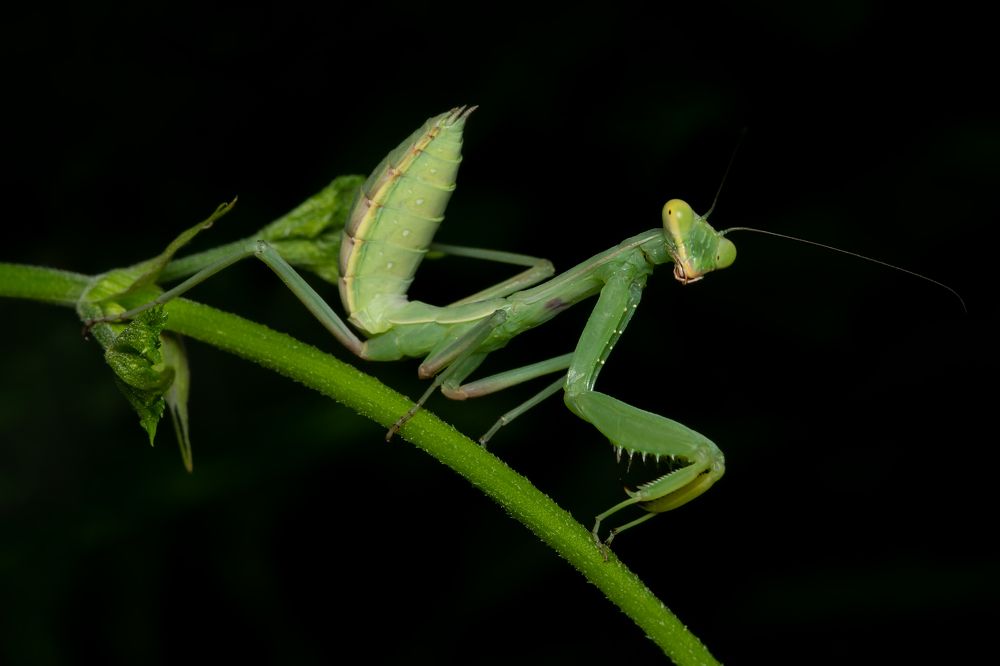 Photograph by Денис Ветренко