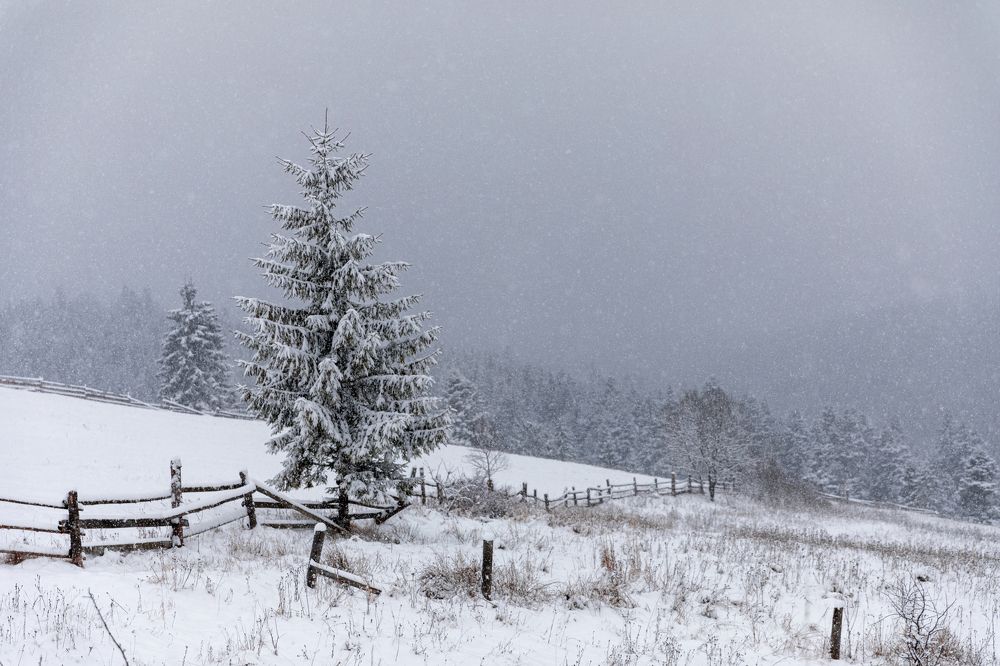 Photograph by Юрий Кравцов