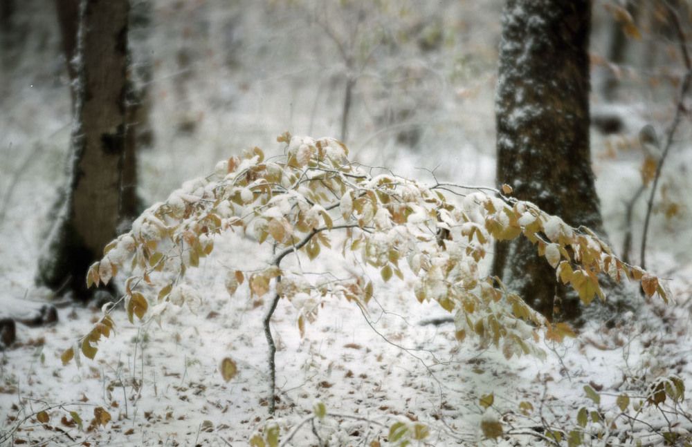 Photograph by Алексей Заморкин