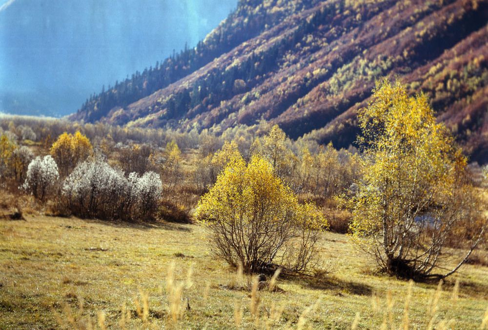 Photograph by Алексей Заморкин