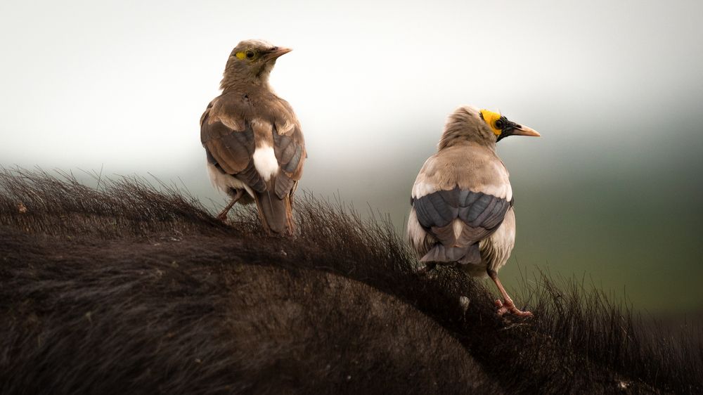 Photograph by Artem Khazov