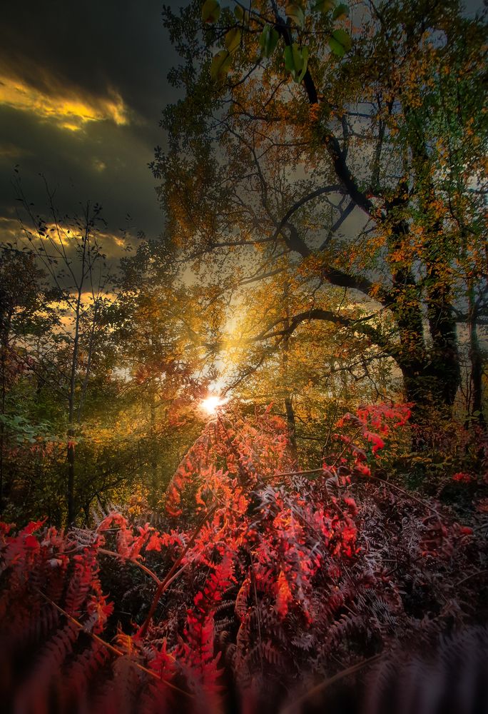 На кромке заката...