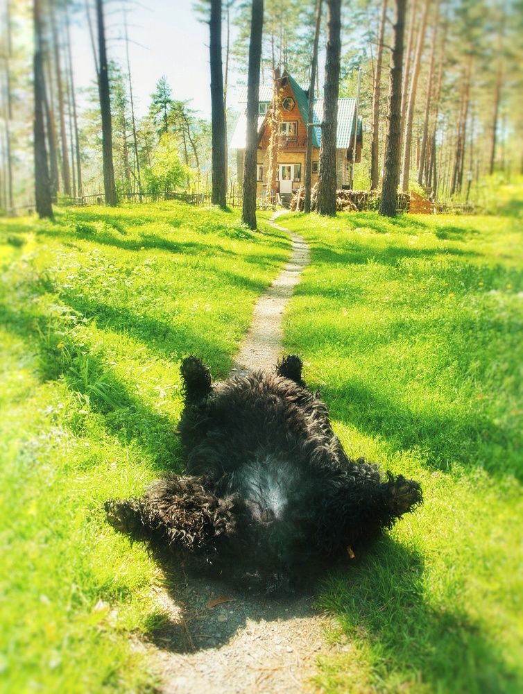 Photograph by Пантелеева Юлия