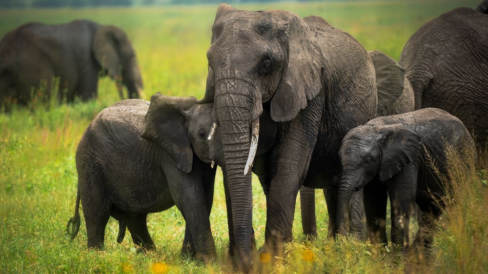 Photograph by Artem Khazov