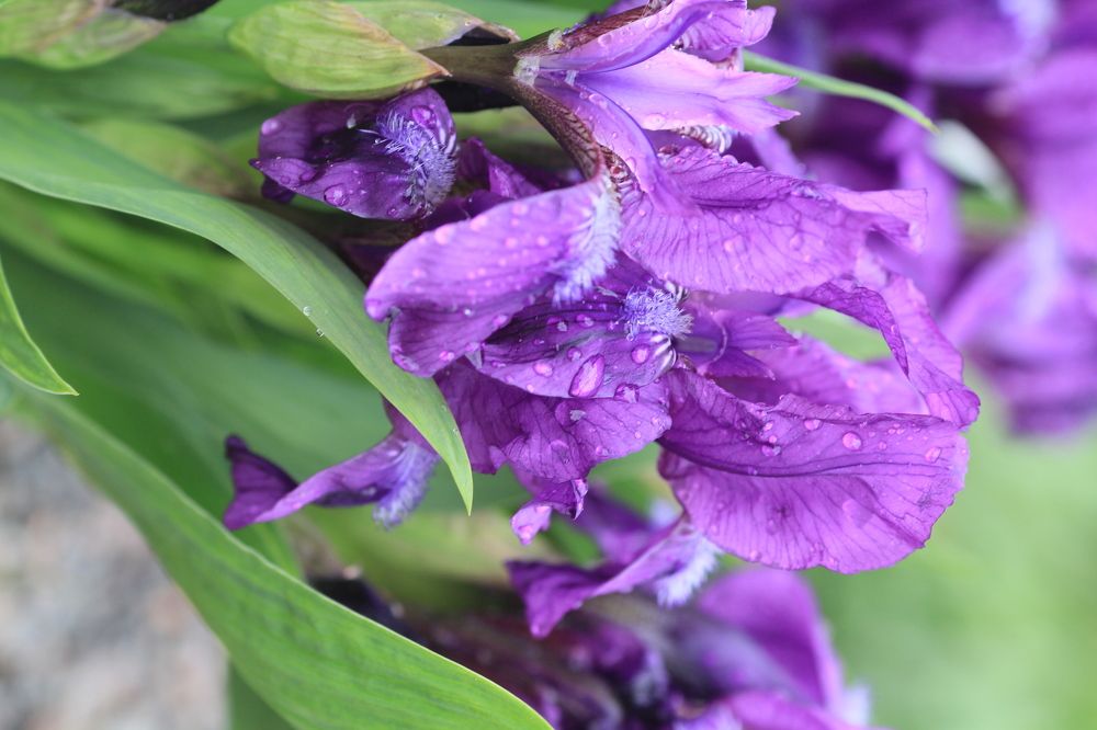 Photograph by Анастасия Сыротюк