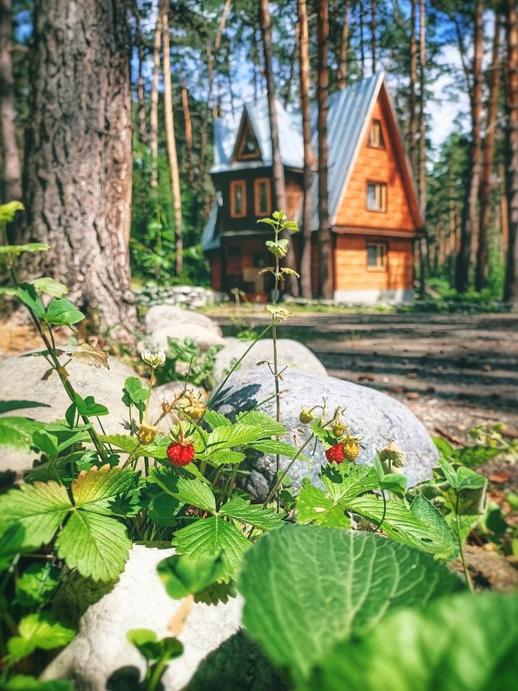 Photograph by Пантелеева Юлия