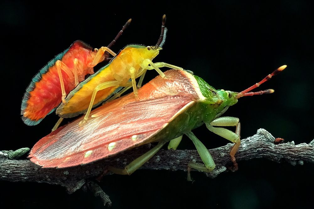 Photograph by KAIYEN LEE