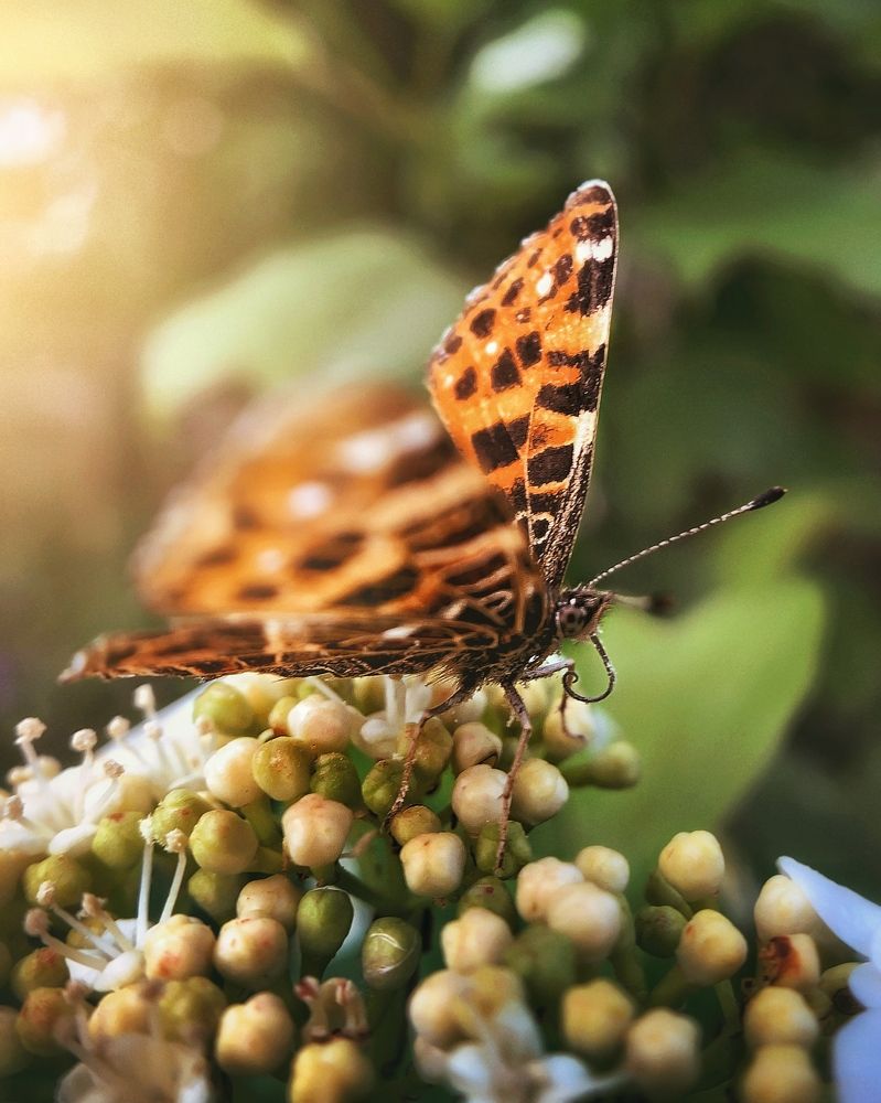 Photograph by Сергей Протасов