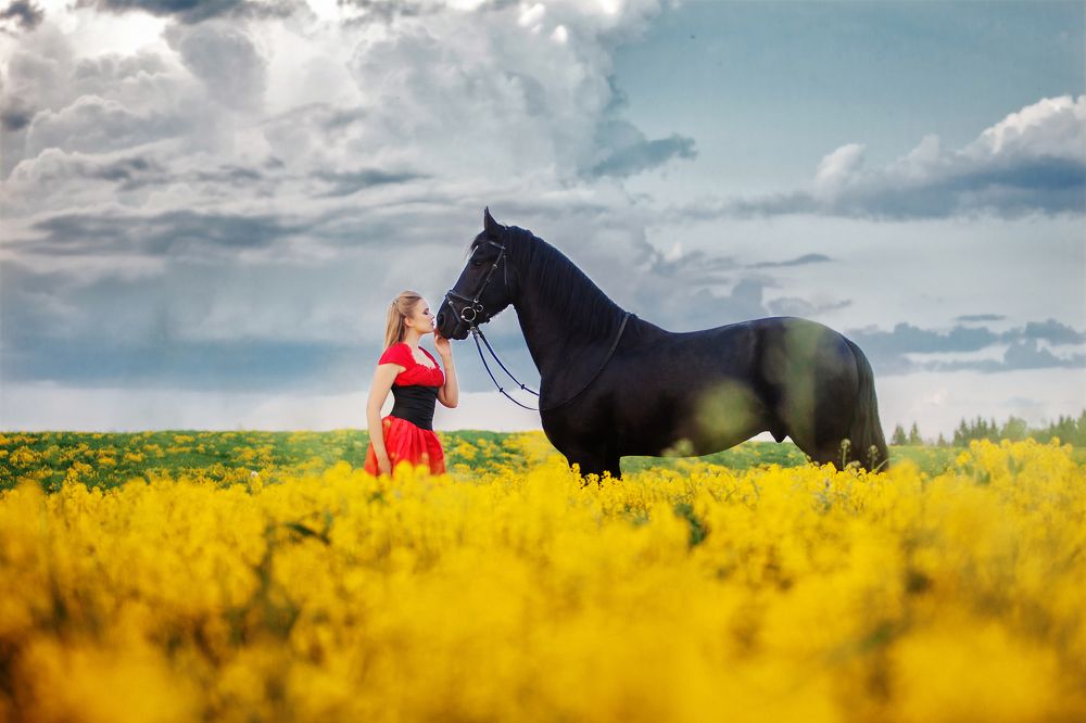 Photograph by Ирина Богатырева