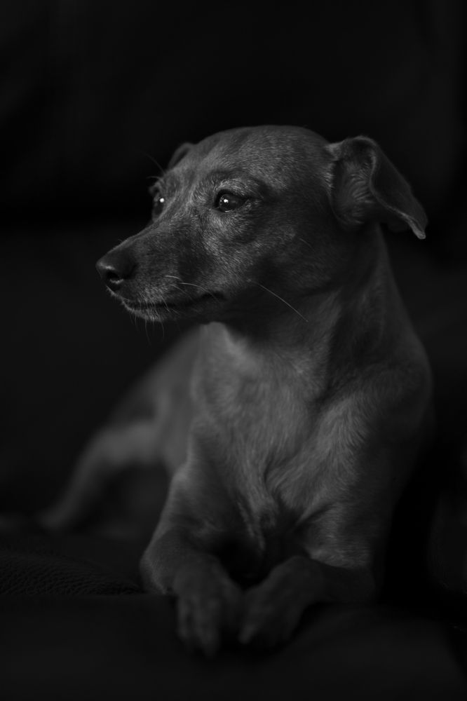 Photograph by Idit Profeta Ron