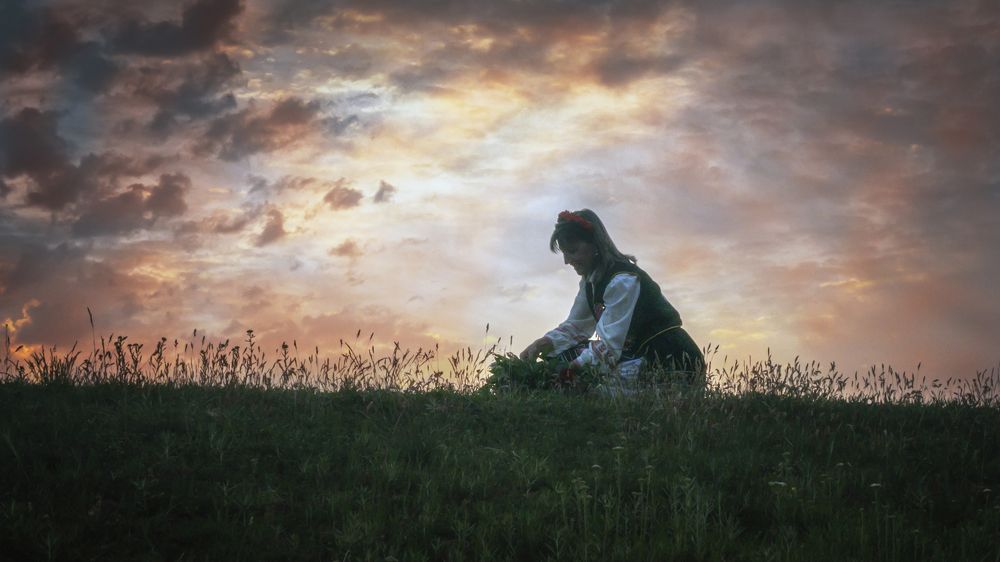Picking herbs early in the morning