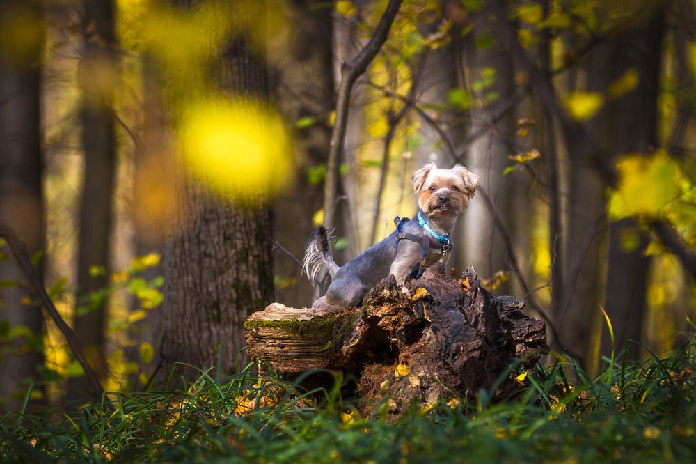 Photograph by Дмитрий