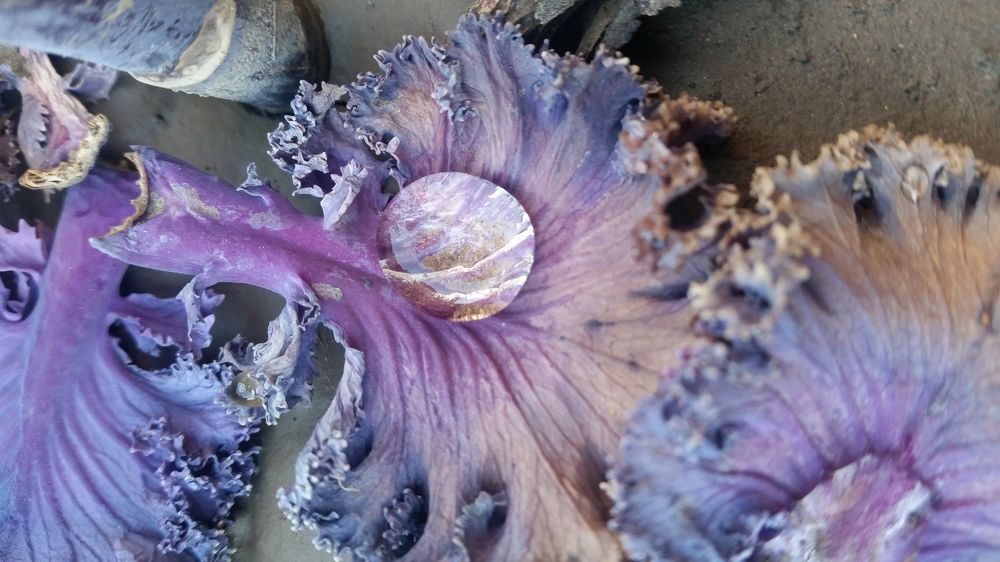 Photograph by Ivana Cucić