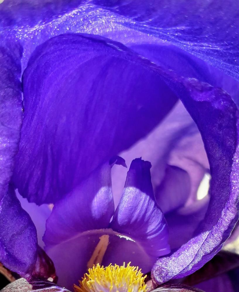 Photograph by Helen Seleznova