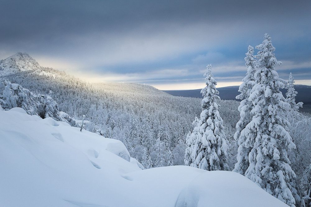 Хмурое утро.