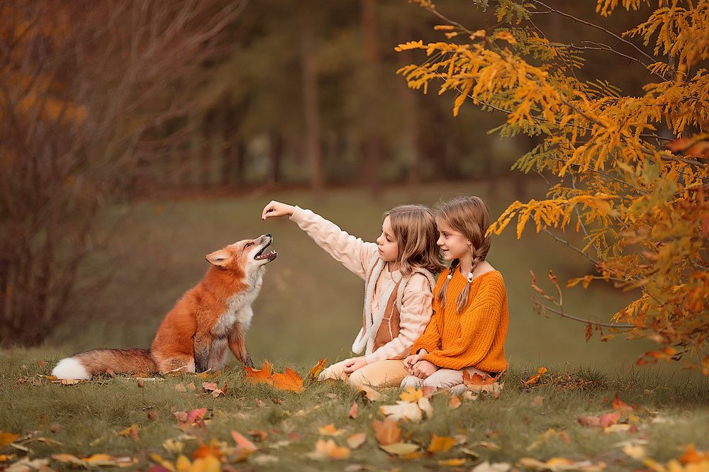 Фотография автора Францева Ольга