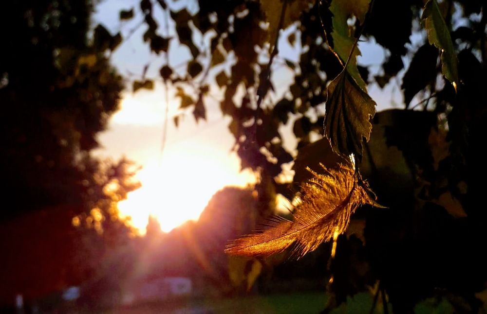 Photograph by Helen Seleznova