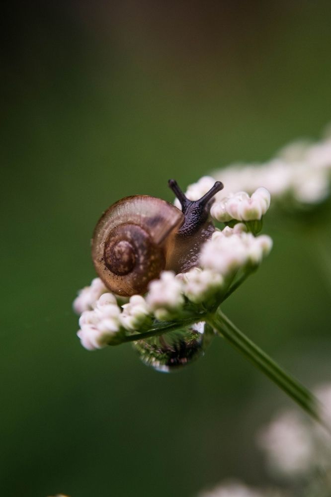 Photograph by Анна Никитина
