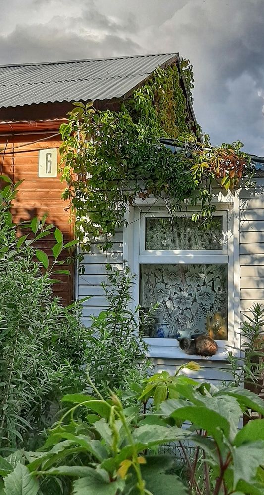 Пустите! Я вернулась!