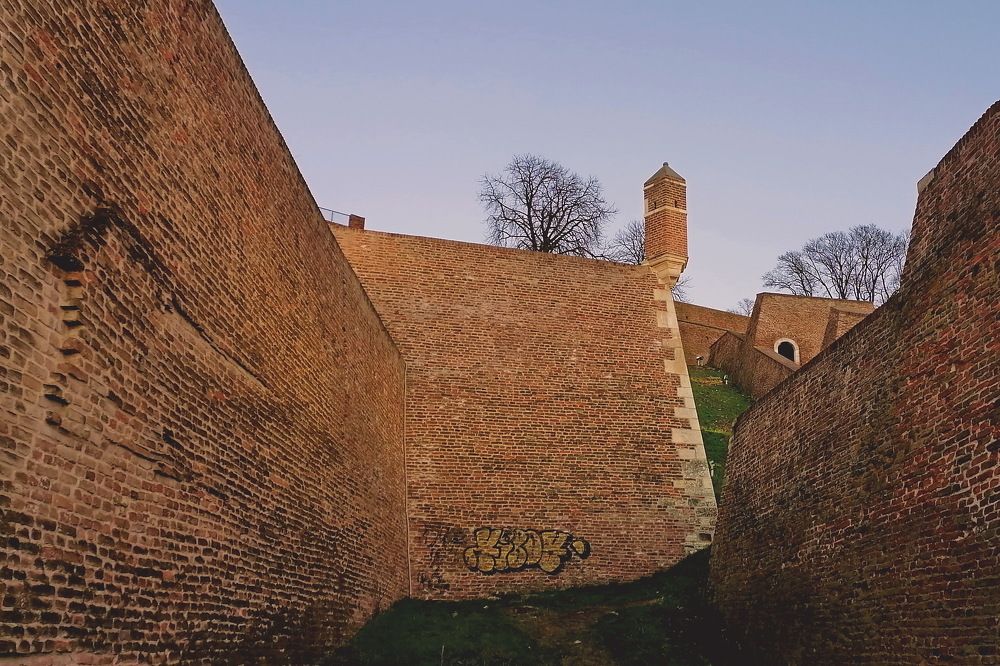 Photograph by Predrag