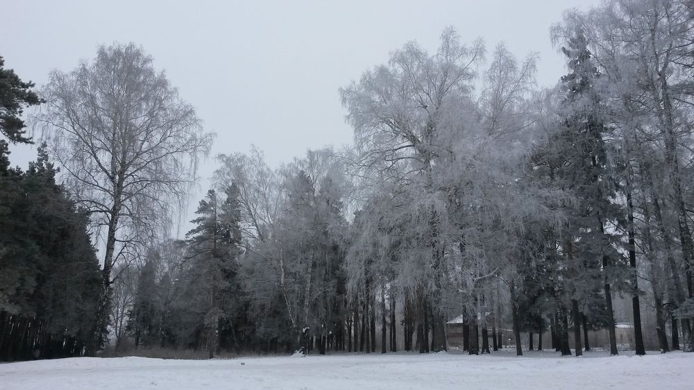 Куржак
