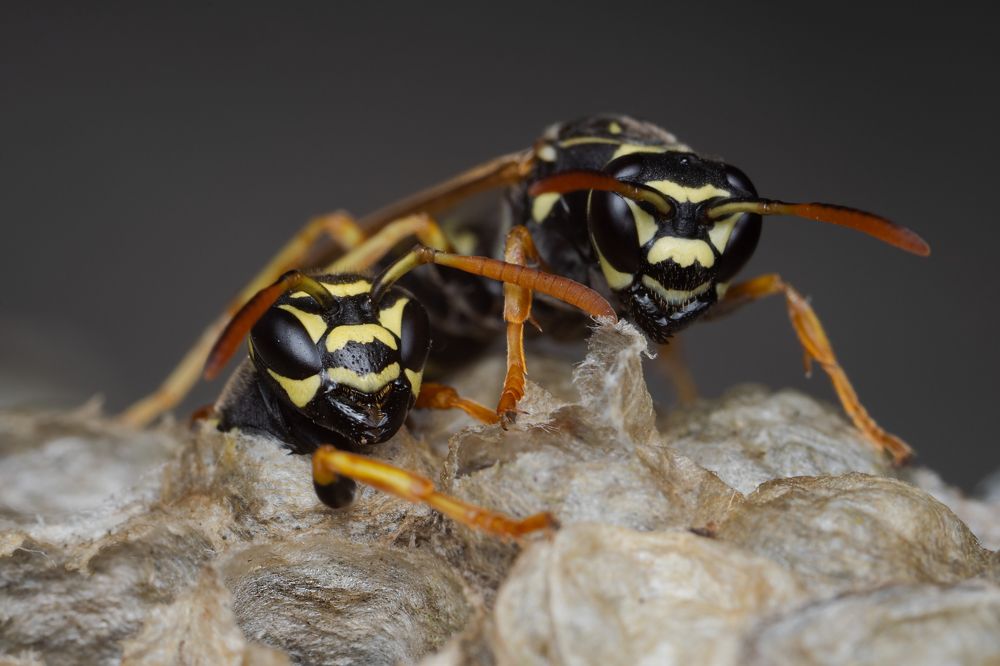 Photograph by Денис Ветренко