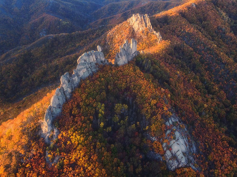 Фотография автора Дмитрий Подкопаев