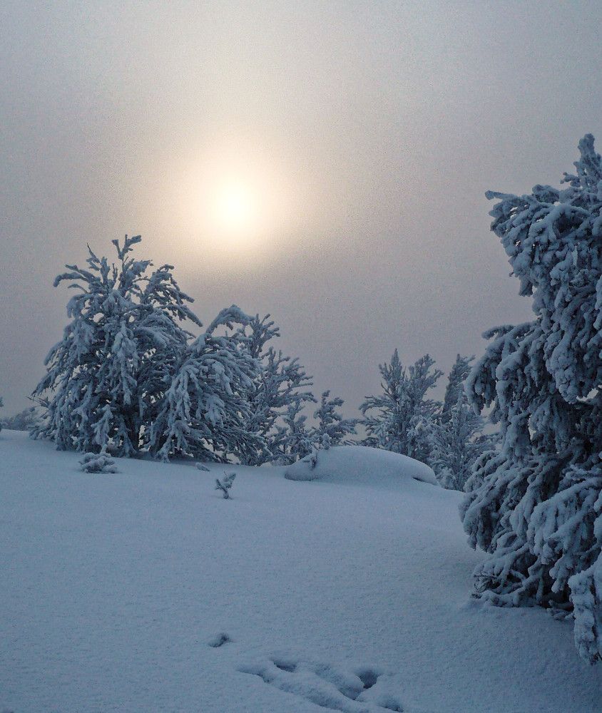 Замерзшее солнце