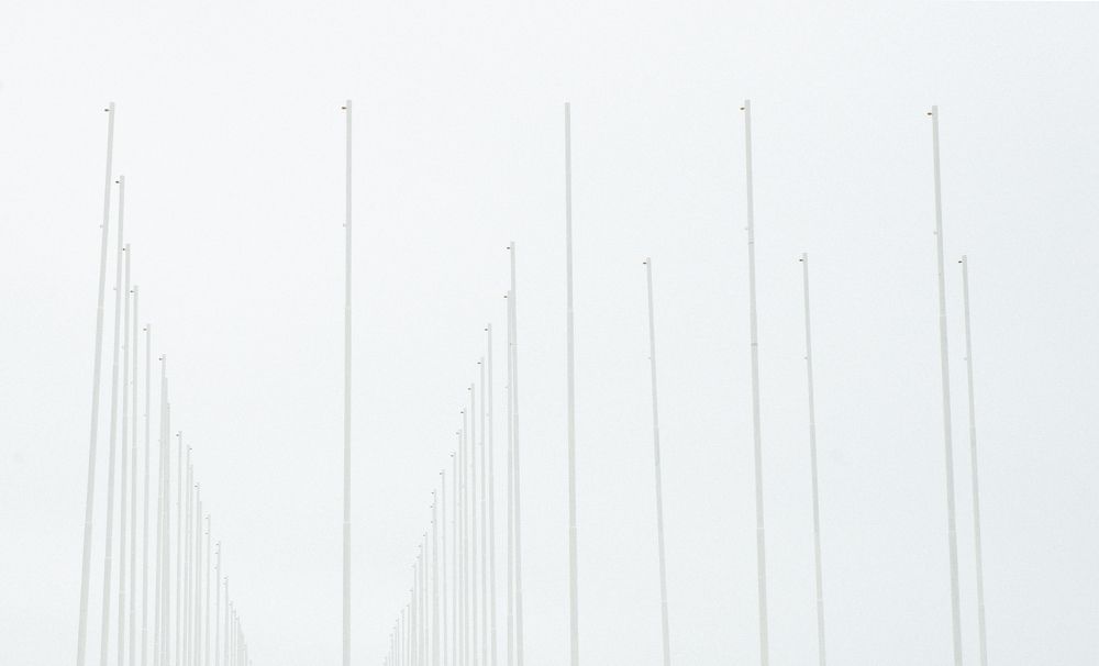 Photograph by Екатерина Мосолова