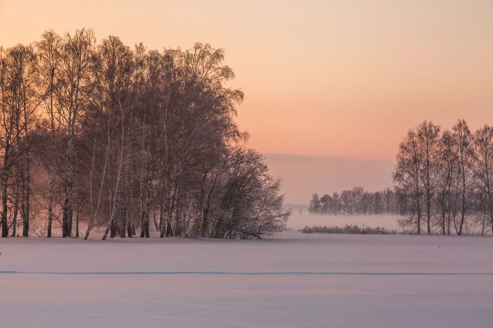 Розовый простор