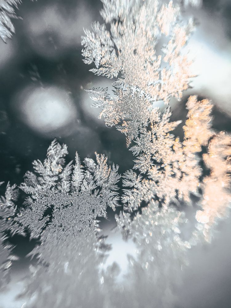 Photograph by Arianna Vernik