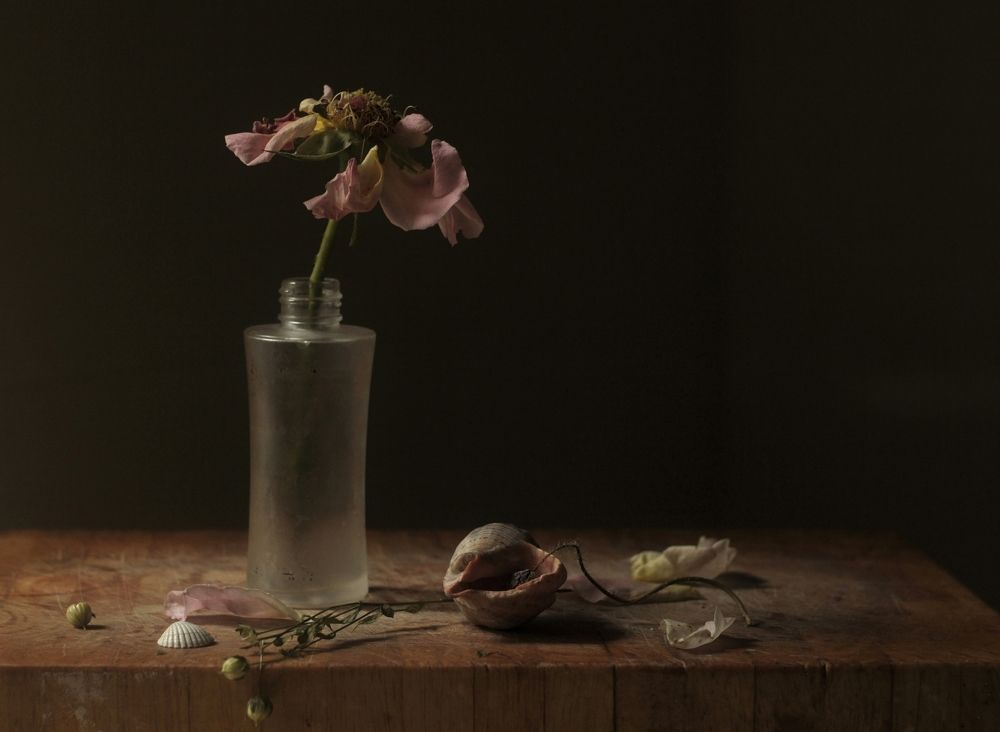 Photograph by Ирина Ямчицкая