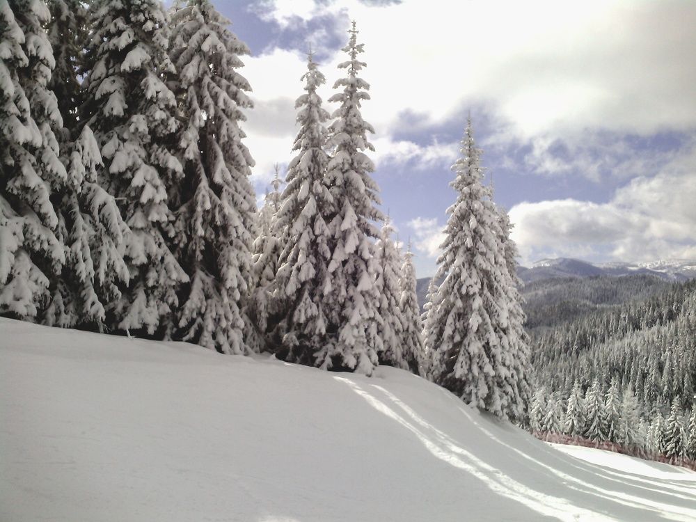 Photograph by Stoyan Baev