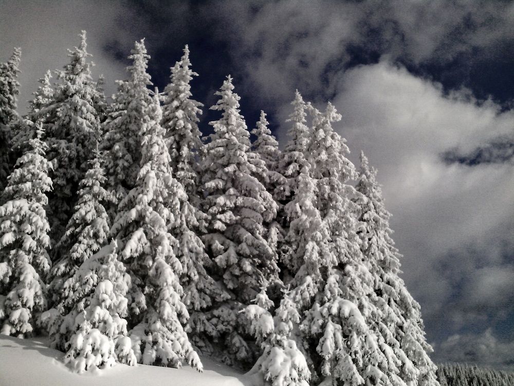 Photograph by Stoyan Baev