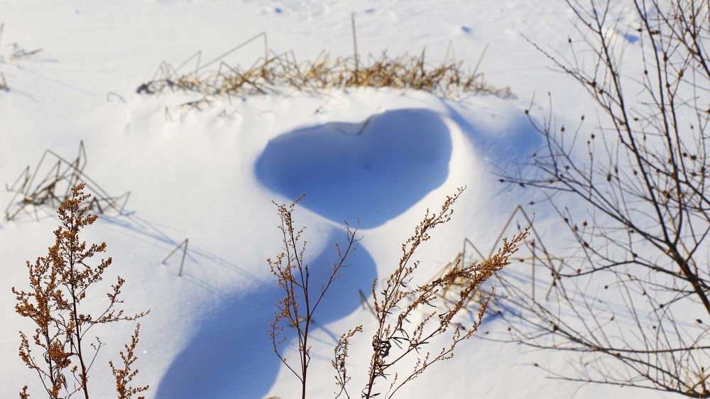 Photograph by Svetlana Victorovna Kibyakova