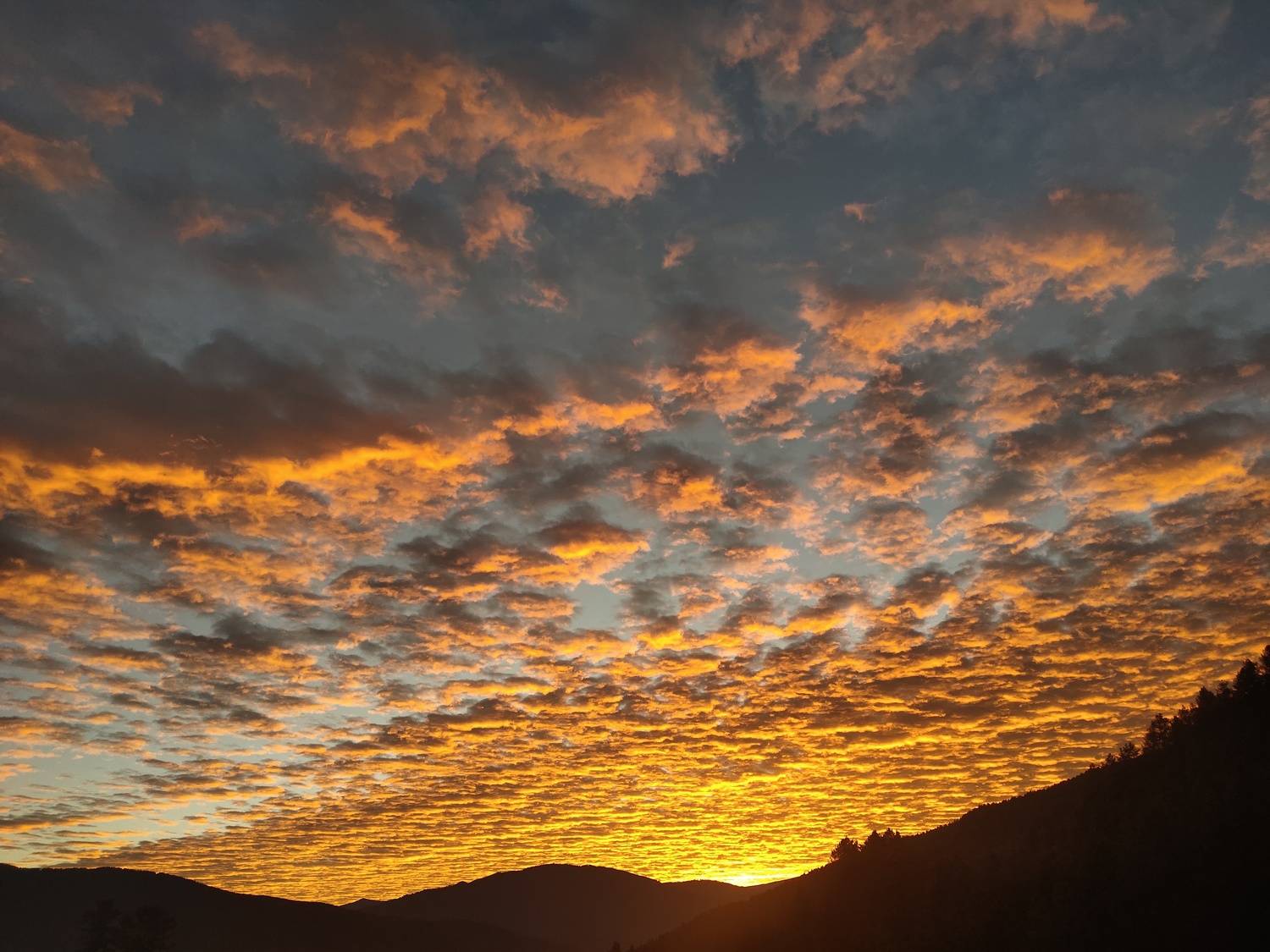 Sunrise